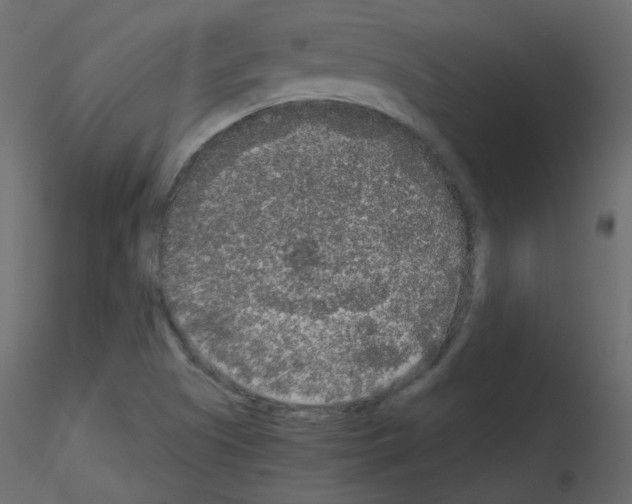 X0000115701505200912241512