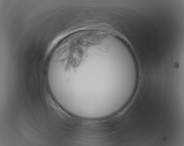 X0000115701506200912241512