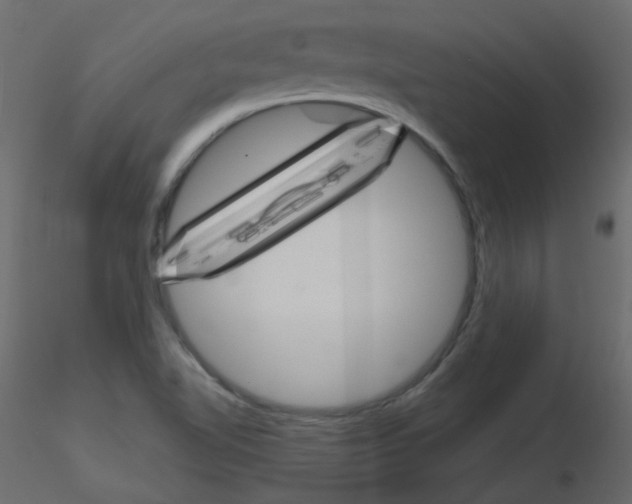 X0000115701510200912241512