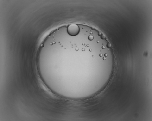 X0000115701511200912241512