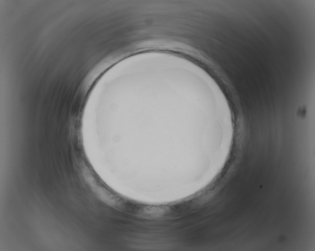 X0000115701513200912241512