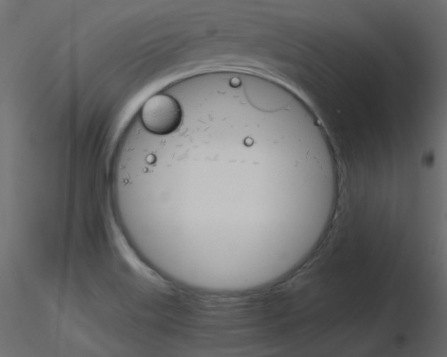 X0000115701515200912241512