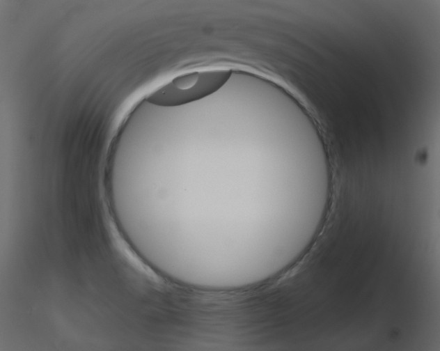 X0000115701518200912241512