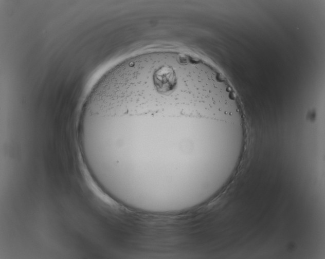 X0000115701519200912241512