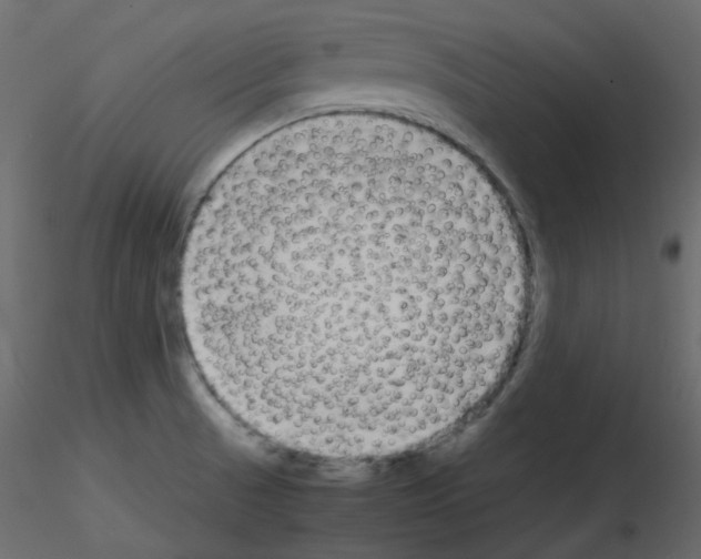 X0000115701521200912241512