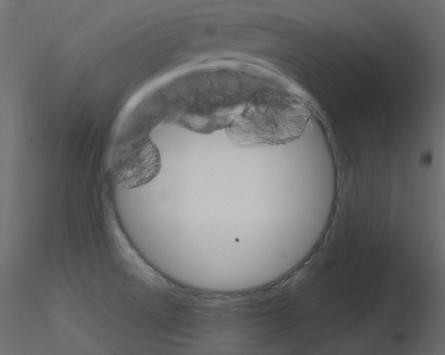 X0000115701522200912241512