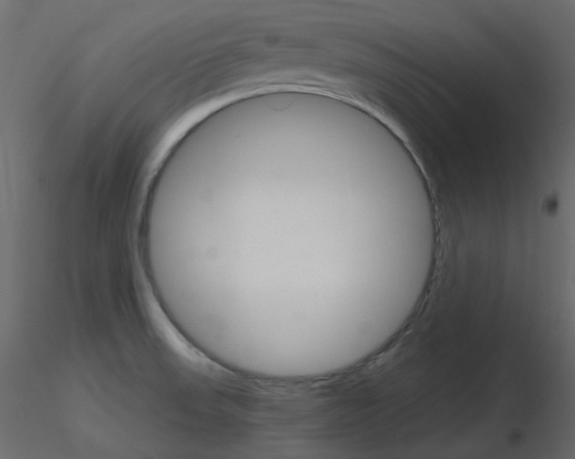 X0000115701523200912241512