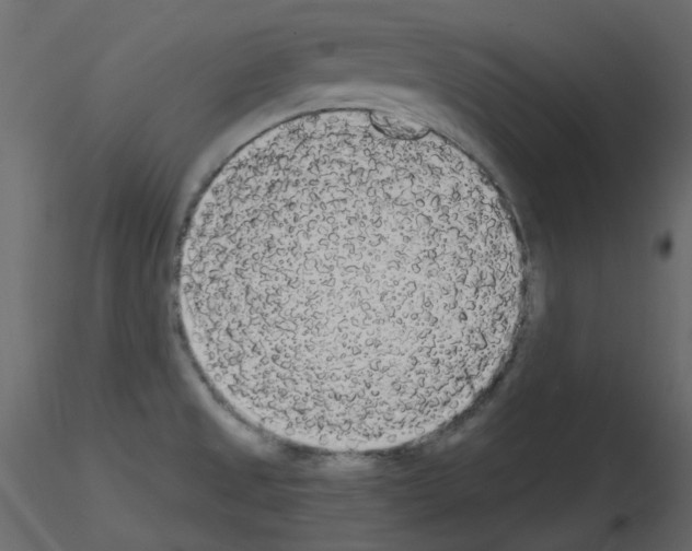 X0000115701525200912241512