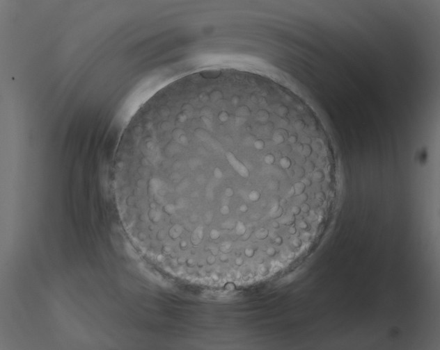 X0000115701529200912241512