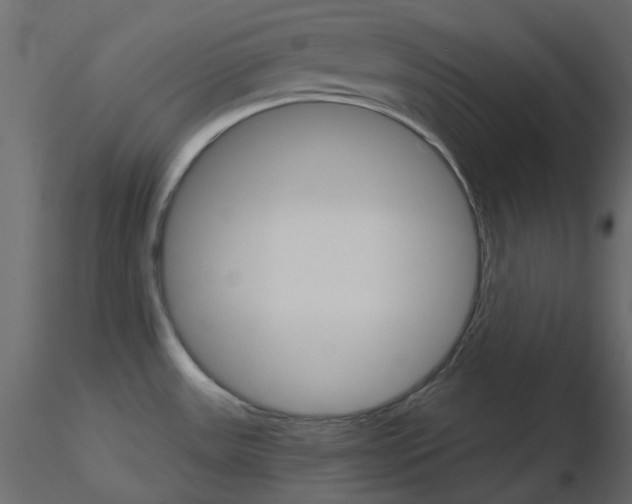 X0000115701531200912241512