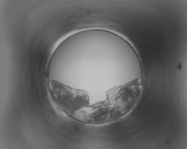 X0000115701534200912241512