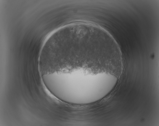 X0000115701535200912241512