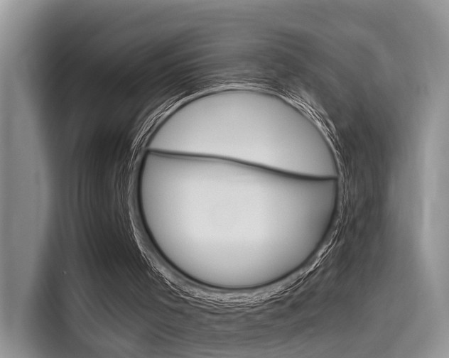 X0000115710001200911121012