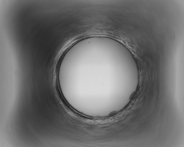 X0000115710005200911121012