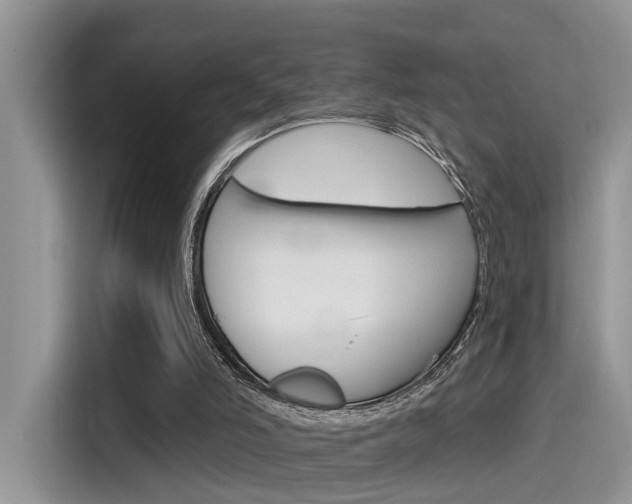 X0000115710006200911121012