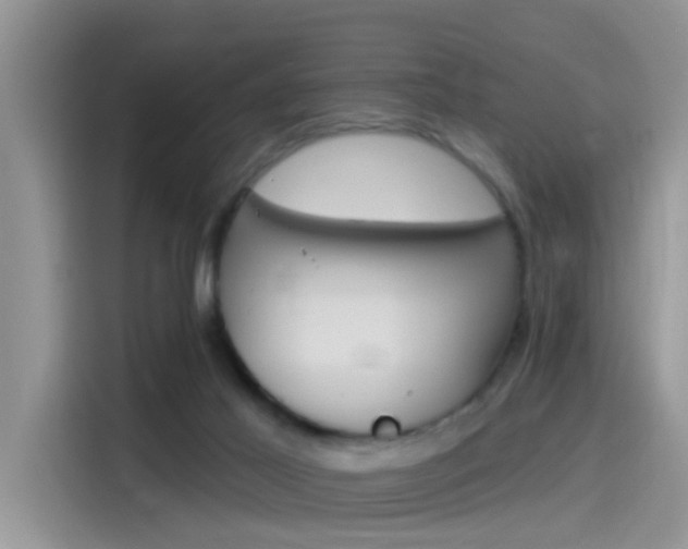 X0000115710021200911121012