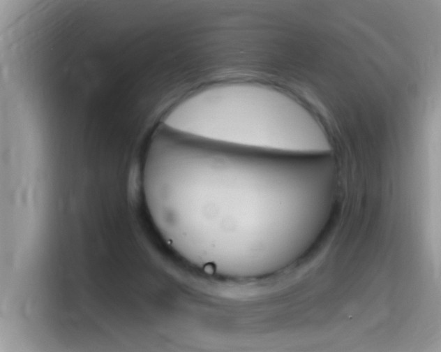 X0000115710024200911121012