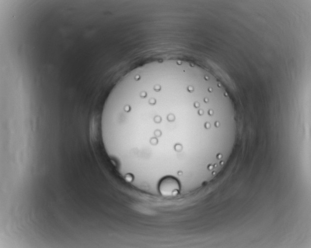 X0000115710026200911121012