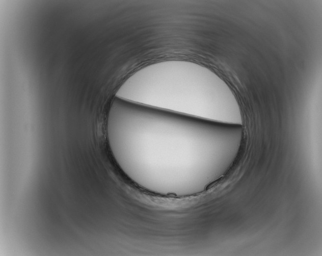 X0000115710044200911121012