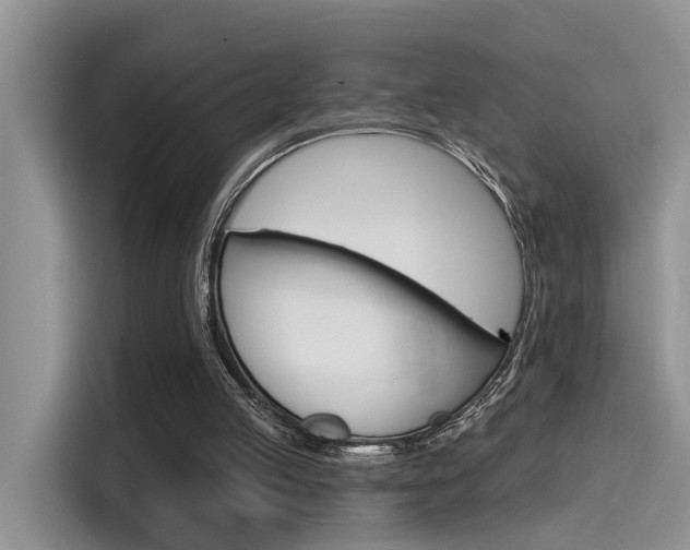 X0000115710053200911121011