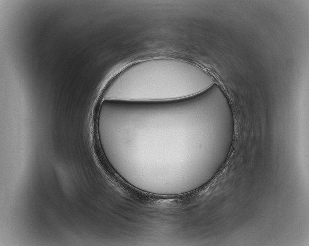 X0000115710054200911121011