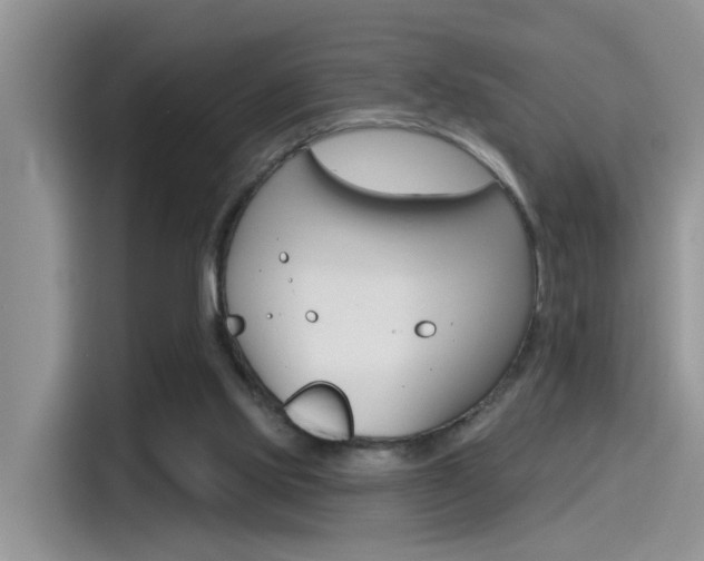 X0000115710061200911121011