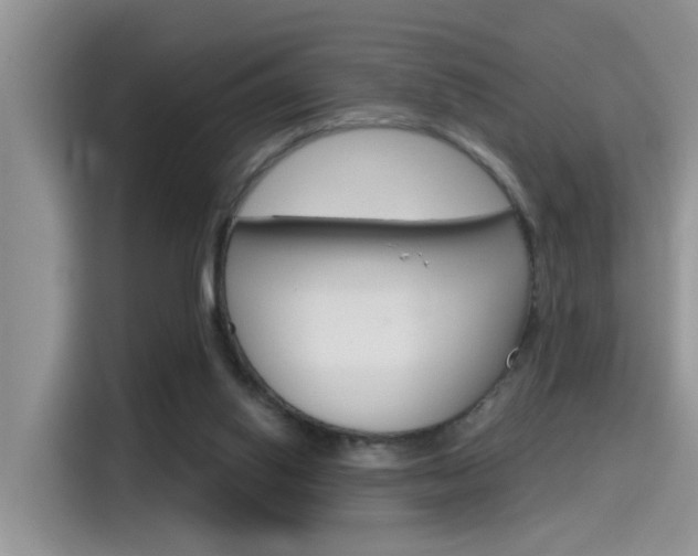 X0000115710062200911121011