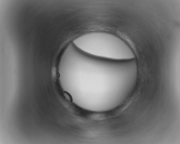 X0000115710067200911121011