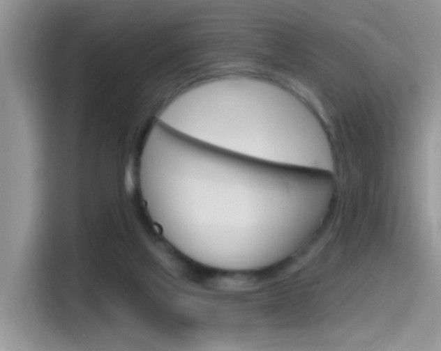 X0000115710069200911121011