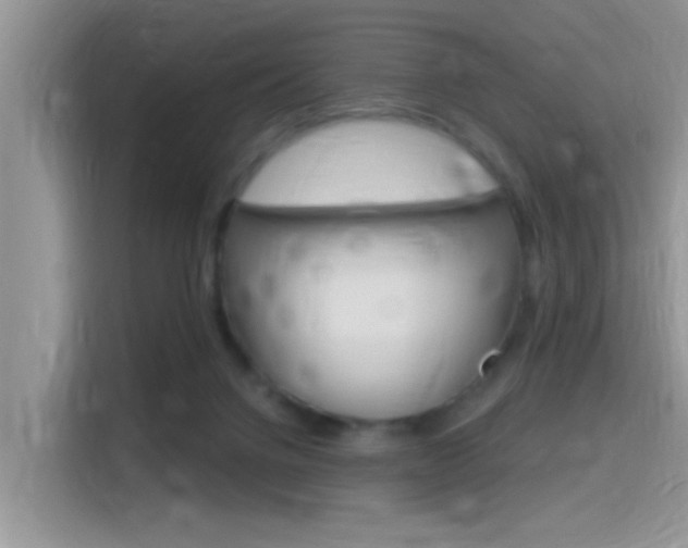 X0000115710072200911121011