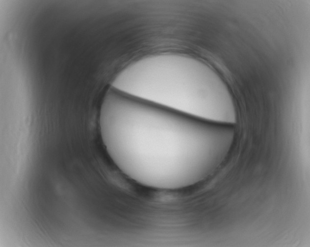 X0000115710073200911121011