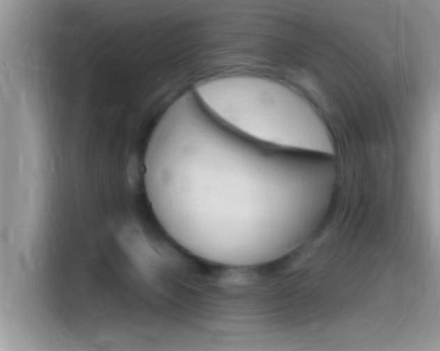 X0000115710077200911121011