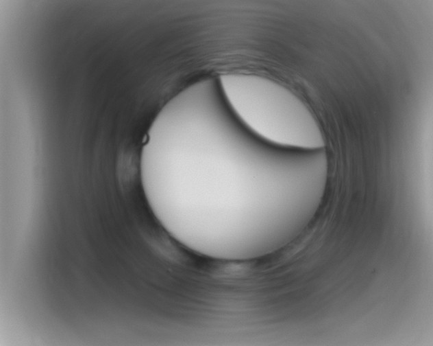 X0000115710081200911121011