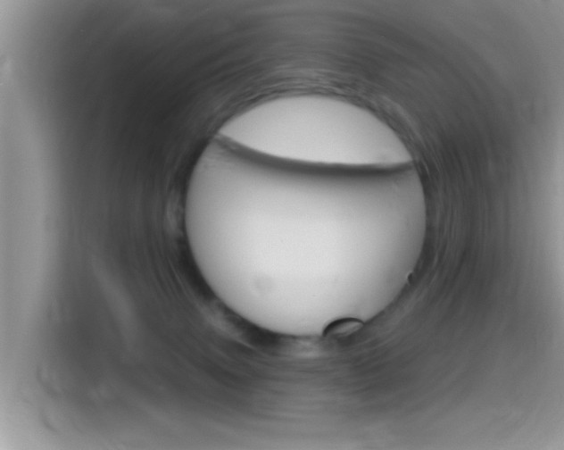 X0000115710083200911121012