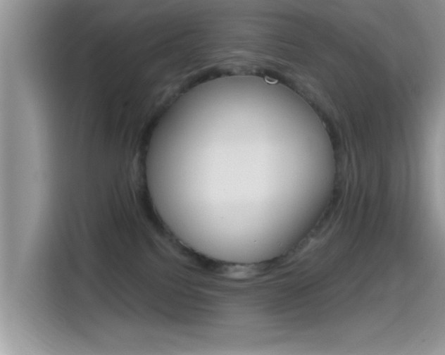 X0000115710088200911121012