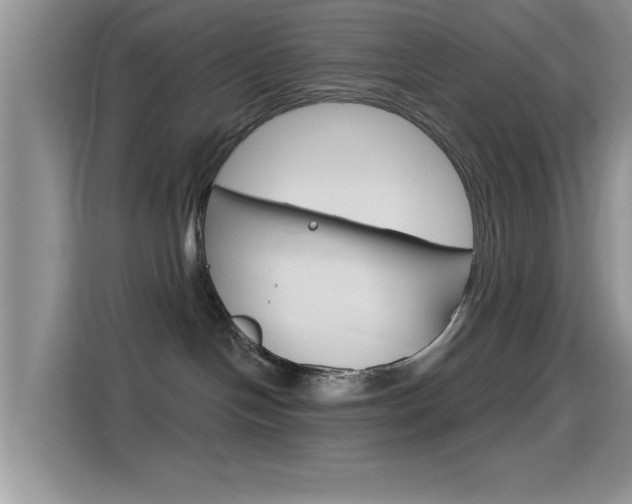 X0000115710094200911121012