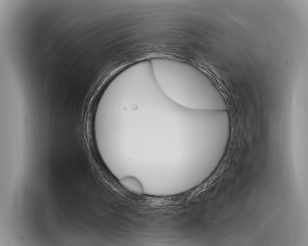 X0000115710098200911121011