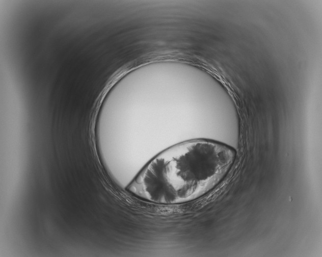 X0000115710099200911121011