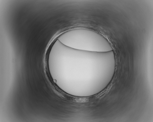 X0000115710102200911121011