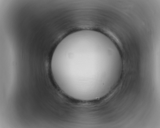 X0000115710113200911121011