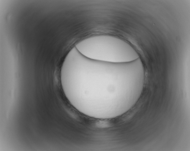 X0000115710114200911121011