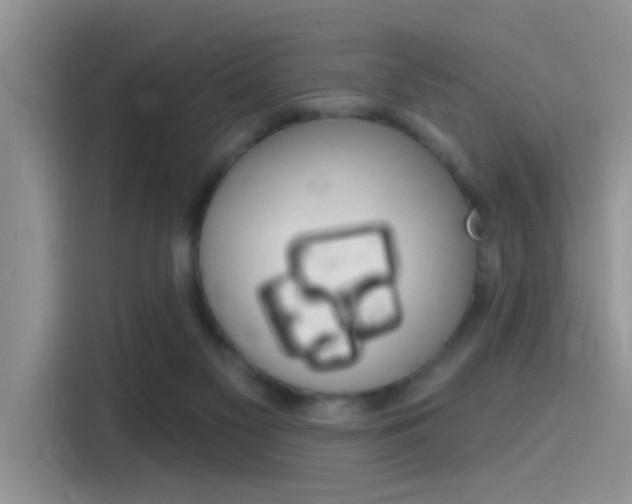 X0000115710117200911121011