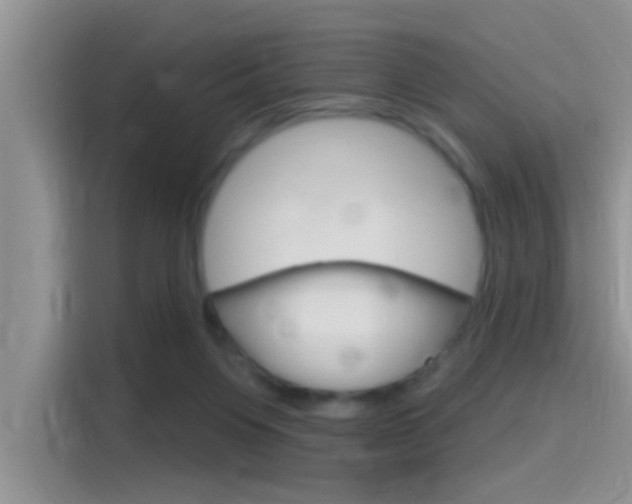 X0000115710119200911121011