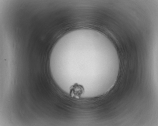 X0000115710124200911121011