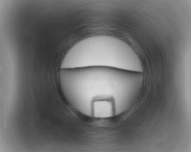 X0000115710125200911121011