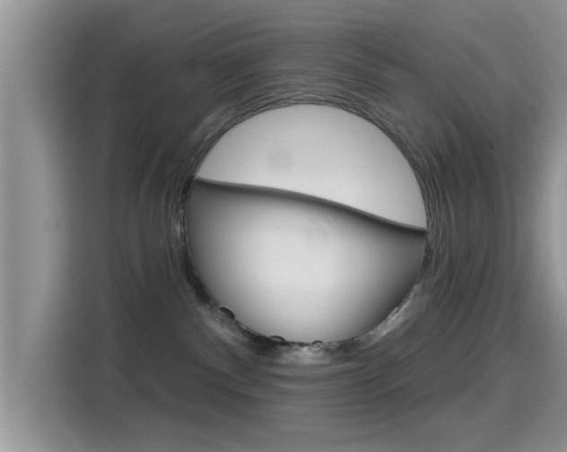 X0000115710140200911121011