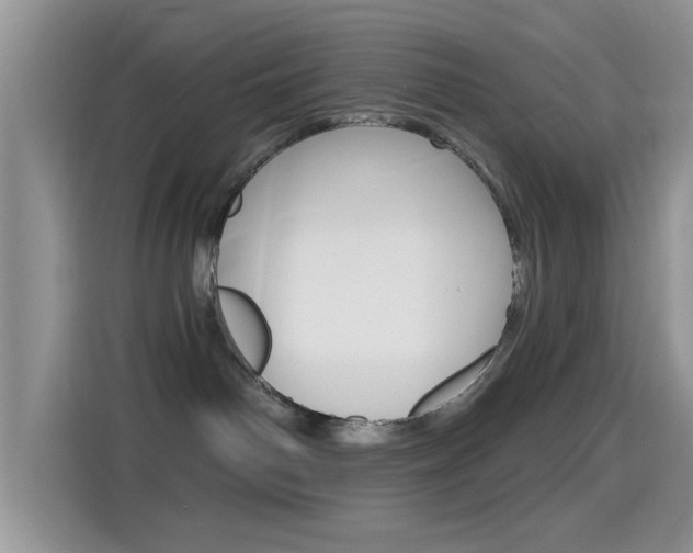 X0000115710142200911121010