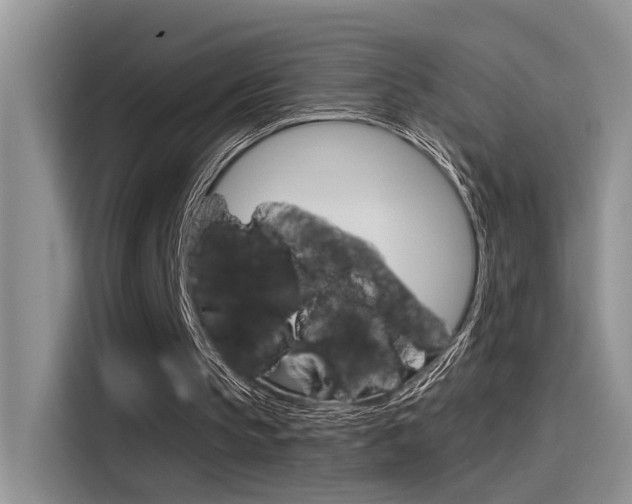 X0000115710145200911121010