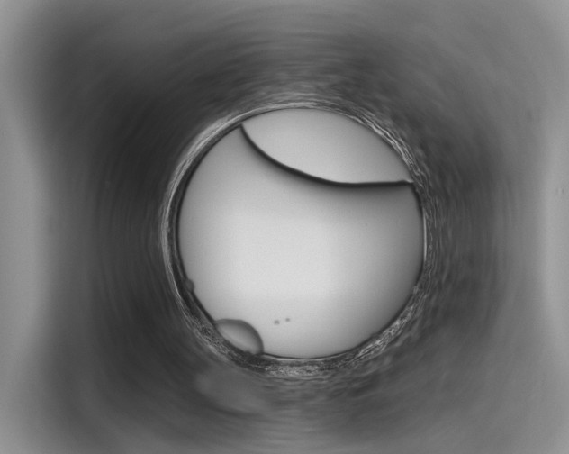 X0000115710147200911121010