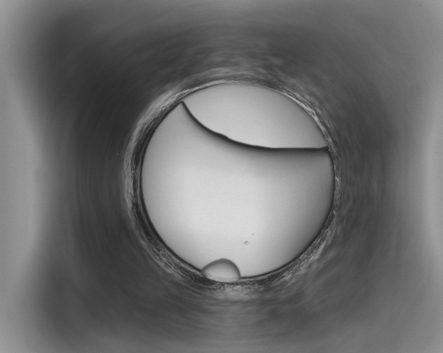 X0000115710149200911121010